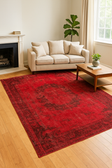 Vincent <br> (5'7" x 8'9")