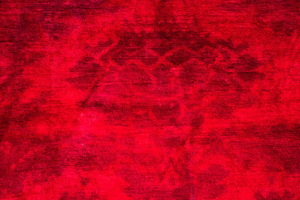Fredric <br> (4'1" x 5'5")
